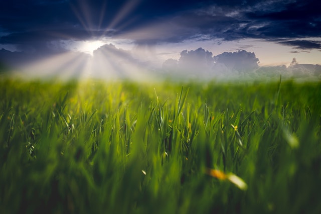 Agriculture in Ireland