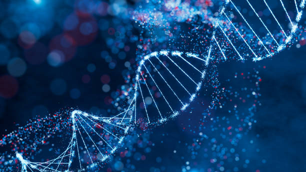 Universities Offering Health Sciences Abroad
